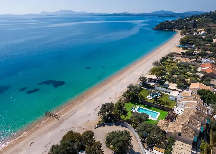- Zante *